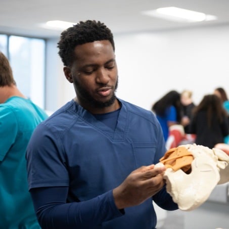A person in medical scrubs examines a human skull model in a classroom or lab setting. Other people, also in scrubs, are visible in the background.