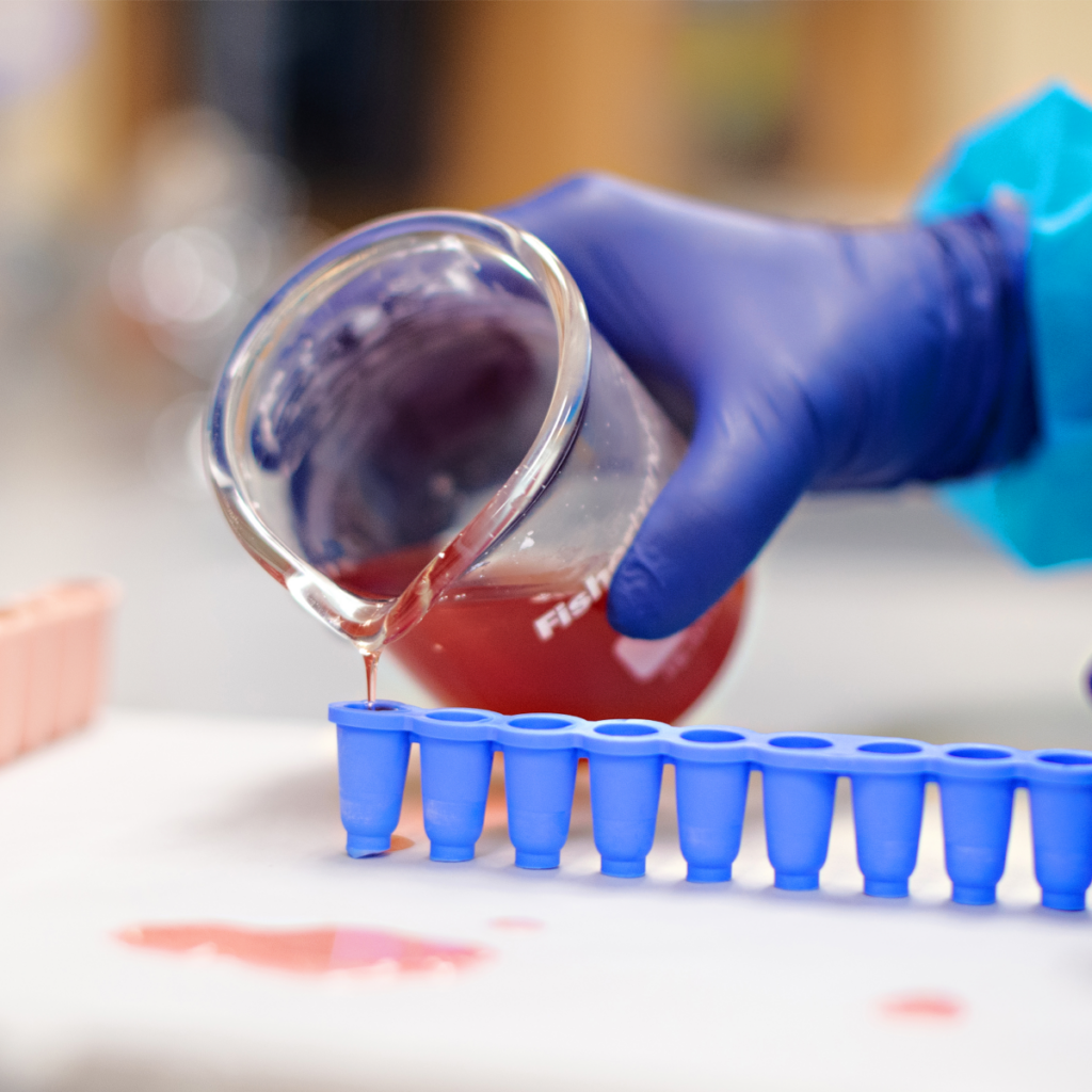 A person wearing blue gloves pours a red liquid from a beaker into a blue tray with multiple small compartments.